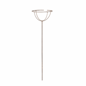 Rose stand long
