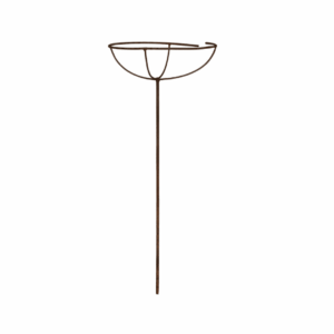 Rose stand short