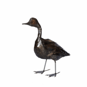 Duckling