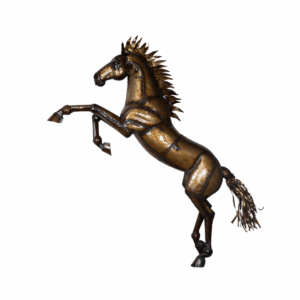 Horse Rising